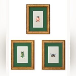 Rifle Paper Co. 11"x14"
Gold Foil Insect Poster Framed
Wall Art Prints Set of 3